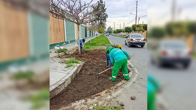 Personal municipal preparando el terreno para el sembrado de grass