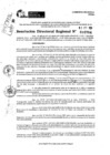 Vista preliminar de documento RDR 10784-2024