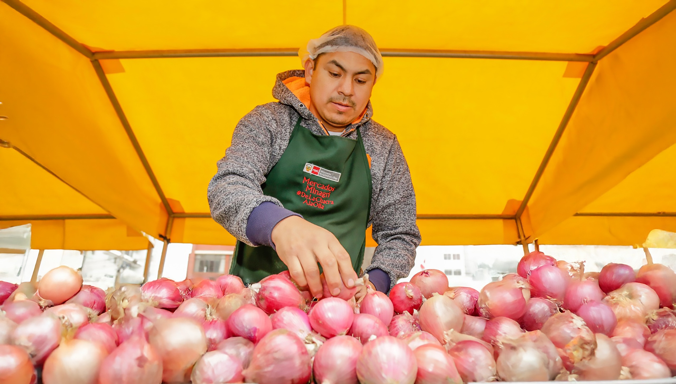 Hoy en los mercados mayoristas hay ofertas de cebolla, frijol, zanahoria, mandarina, papaya, uva y otros