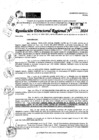 Vista preliminar de documento RDR 10786-2024