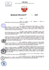 Vista preliminar de documento Resolucion Directoral N° 000116-2025