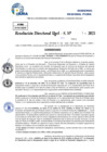 Vista preliminar de documento Resolucion Directoral N° 000117-2025