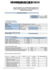 Vista preliminar de documento Reporte del 2do Balance Semestral 2024-MDY