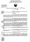 Vista preliminar de documento RDR 10795-2024