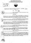 Vista preliminar de documento RDR 10796-2024