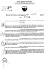 Vista preliminar de documento RDR 10797-2024