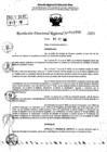 Vista preliminar de documento RDR 10799-2024