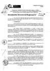 Vista preliminar de documento RDR 10800-2024