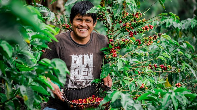 El Perú se mantiene como uno de los principales productores y exportadores de café 