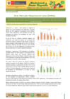 Vista preliminar de documento Boletín de Abastecimiento y Precios Mayoristas GMML y MM Nº2 -01/06/20