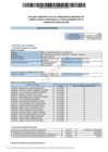 Vista preliminar de documento Informe Consolidado II Balance Semestral 2024-Consejo Regional