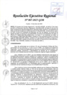 Vista preliminar de documento RER 007-2025-GOB