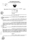 Vista preliminar de documento RDR 10806-2024