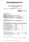 Vista preliminar de documento Balance semestral periodo: 01/07/2024 - 31/12/2024
