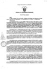 Vista preliminar de documento RORA N° 1418-2024