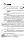 Vista preliminar de documento RDR 10809-2024