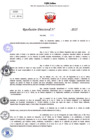Vista preliminar de documento Resolucion Directoral N° 000118-2025