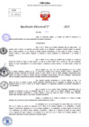 Vista preliminar de documento Resolucion Directoral N° 000119-2025