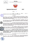Vista preliminar de documento Resolucion Directoral N° 000121-2025