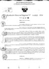 Vista preliminar de documento RDR 10815-2024