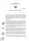 Vista preliminar de documento RPE Nº 013-2025