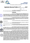 Vista preliminar de documento Resolucion Directoral N° 000131-2025