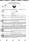 Vista preliminar de documento RDR 10816-2024