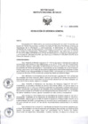 Vista preliminar de documento RGG Nº 001-2025