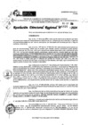 Vista preliminar de documento RDR 10820-2024