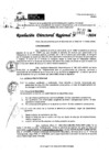Vista preliminar de documento RDR 10821-2024