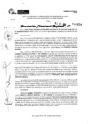 Vista preliminar de documento RDR 10824-2024