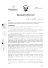 Vista preliminar de documento R.D. 685-2024