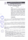 Vista preliminar de documento RDR 017-2025