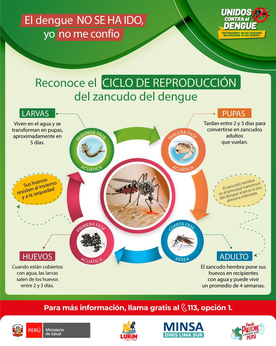 Archivo de JPG sobre una publicación del área de imagen
