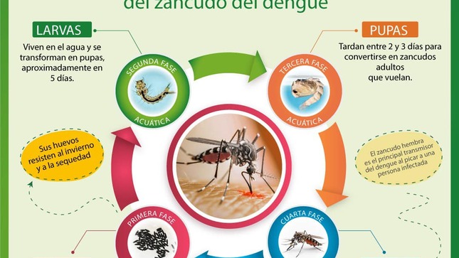 Archivo de JPG sobre una publicación del área de imagen