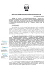 Vista preliminar de documento RDE-005-2025-PROCIENCIA-DE