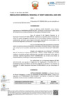 Vista preliminar de documento RGR-000371-2025 INSCRIBIR LUJAN ZAVALETA LOREN JHOSLEN
