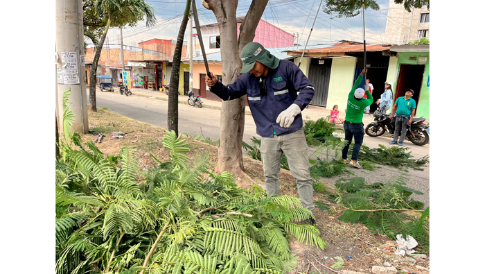 Trabajos rutinarios de poda y mantenimiento de Γ‘rboles en el Jr. Manco Inca Cdra. 01 - 08.