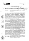 Vista preliminar de documento RDR 10832-2024