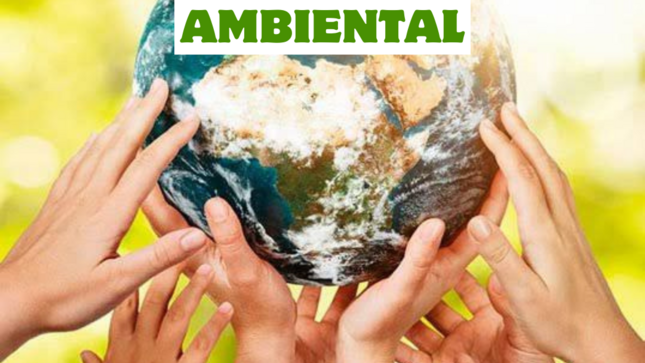Día Mundial de la Educación Ambiental