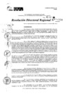 Vista preliminar de documento RDR 10838-2024