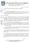 Vista preliminar de documento RESOLUCION DE ALCALDIA N°540-2021-MPA-A