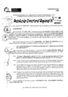 Vista preliminar de documento RDR 10844-2024
