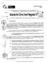 Vista preliminar de documento RDR 10846-2024