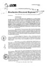 Vista preliminar de documento RDR 10848-2024