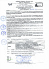 Vista preliminar de documento RD Nº 018 - CONFORMAR EL EQUIPO DE RONDAS DE SEGURIDAD DEL PACIENTE PERIODO 2025