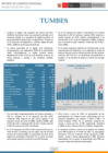 Vista preliminar de documento RCR Tumbes - I Semestre 2024