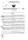 Vista preliminar de documento RDR 10858-2024