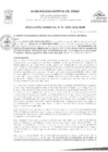 Vista preliminar de documento RGGDU-001-2025