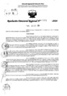 Vista preliminar de documento RDR 10861-2024